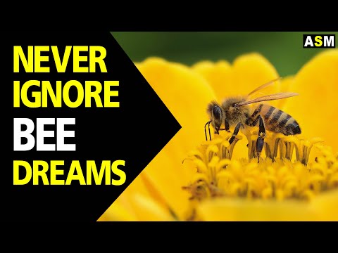 Understanding the Biblical Significance: Interpreting Bee Dreams