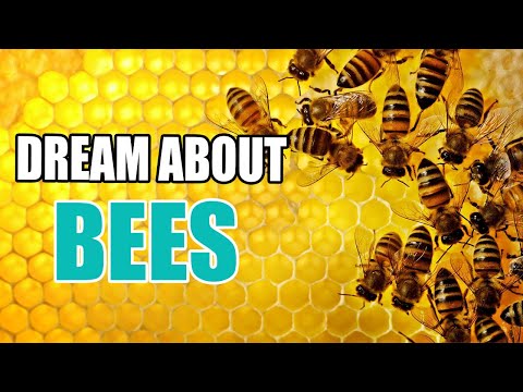 The Biblical Significance of Dreaming About Bees