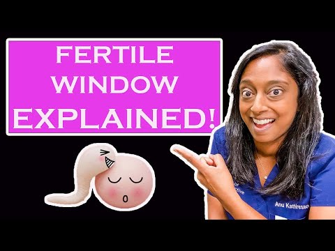 Understanding the Fertile Window: A Comprehensive Guide
