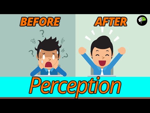 Understanding Perception in Psychology