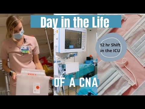 The Role of a CNA in a Hospital: Duties and Responsibilities